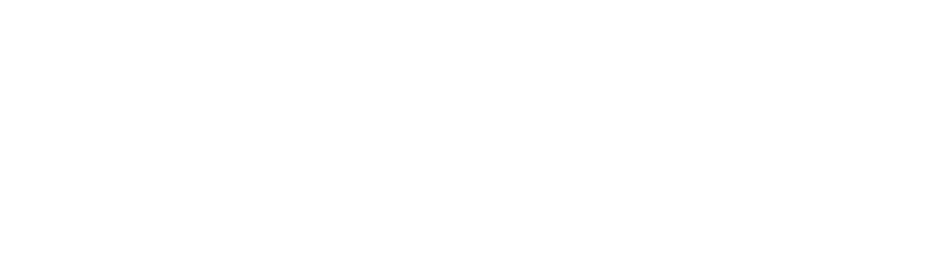 Casa Pinaldo Logo
